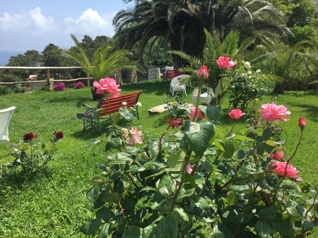 Paradiso Di Manu Noli Εξωτερικό φωτογραφία
